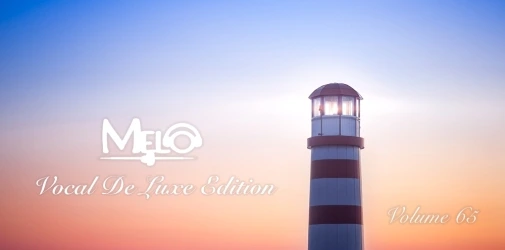 Vocal de Luxe - Volume 65