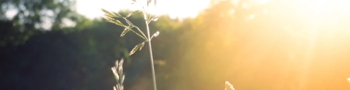 Summer Time! - Vorschaubild