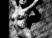 Lights and Shadows with Nicolette