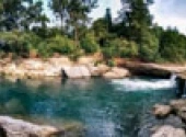 Nature July