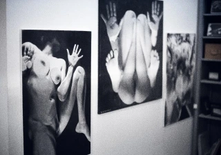 Erotic Exhibition Lumina