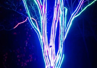 Illumina