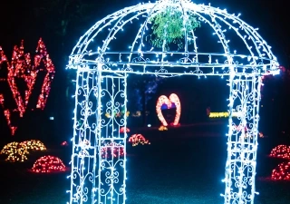 Illumina