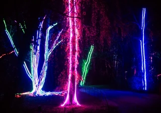 Illumina