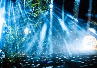 Illumina