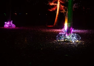 Illumina