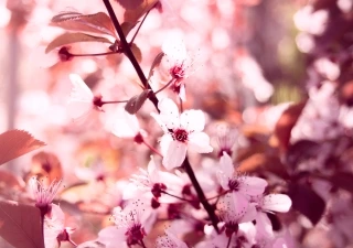 Fr&uuml;hlingsshooting mit Kerstin und Victoria