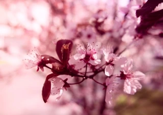 Fr&uuml;hlingsshooting mit Kerstin und Victoria