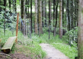 A Day with Jacqueline