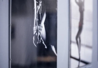 Erotic Exhibition Lumina