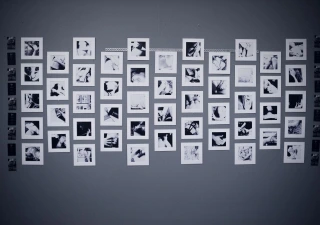 Erotic Exhibition Lumina