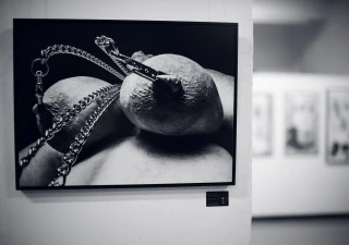 Erotic Exhibition Lumina