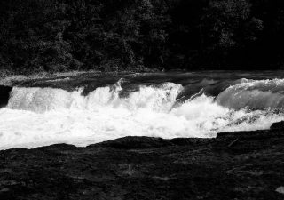 Pure Nature April 2017