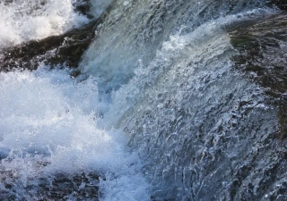 Pure Nature April 2017