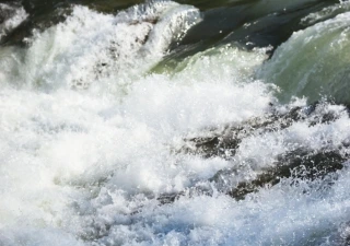 Pure Nature April 2017