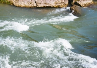 Pure Nature April 2017