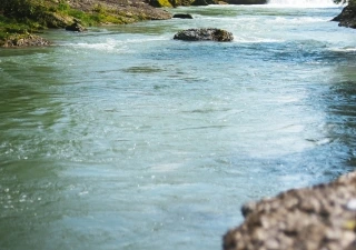 Pure Nature April 2017