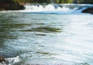 Pure Nature April 2017