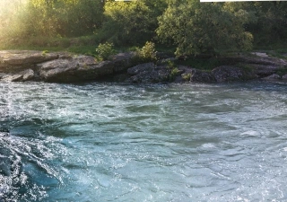 Pure Nature April 2017