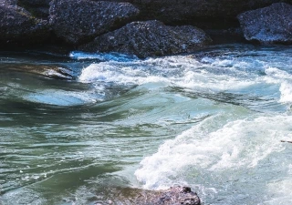 Pure Nature April 2017