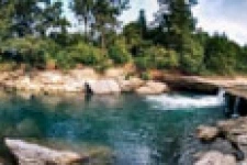 Nature July