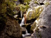 Into The Wild II with Desiree