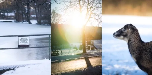 /photographer/michael-sedlacek-2/citytrips/austria/vienna-winterland-january-2015