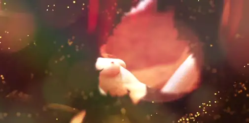 Wir wünschen euch wunderschöne Weihnachten