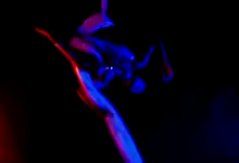 Aerial Silk with Alyssandra - Coverbild