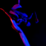 Aerial Silk with Alyssandra