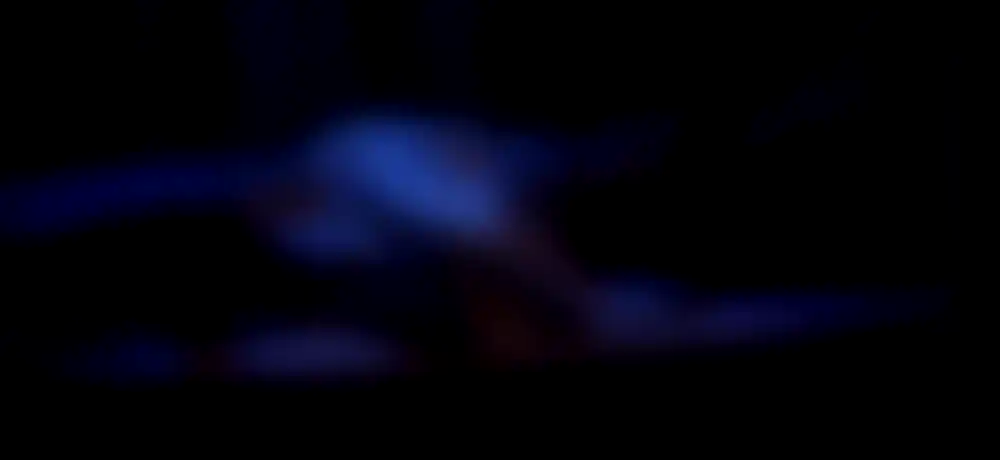 Midnight Dreams