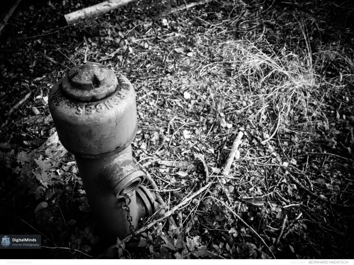 Lostplace July 31017