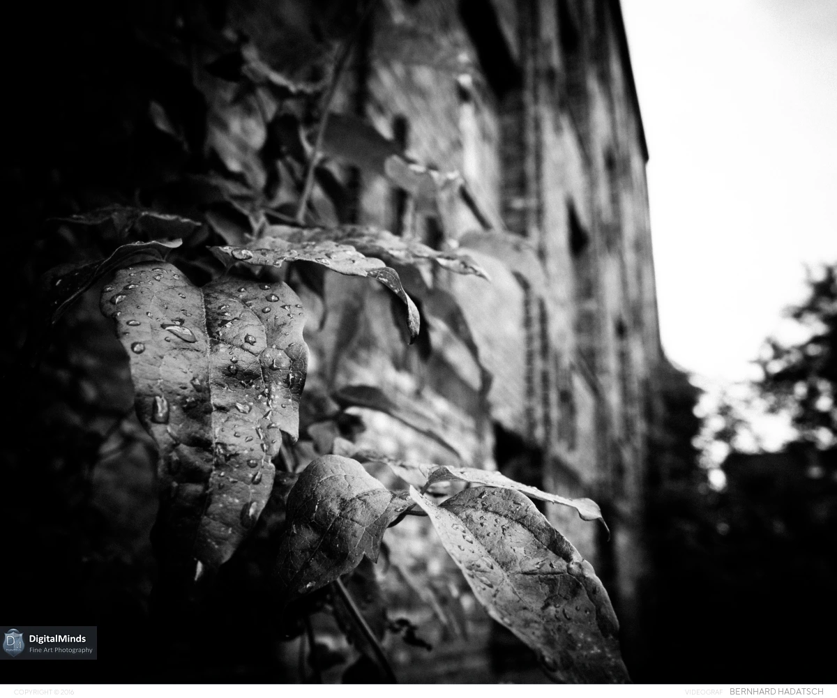Lostplace July 31018