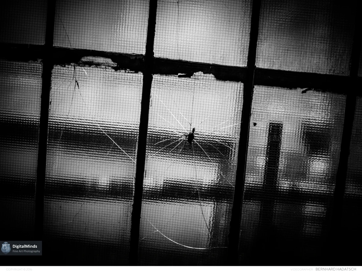 Lostplace July 31028