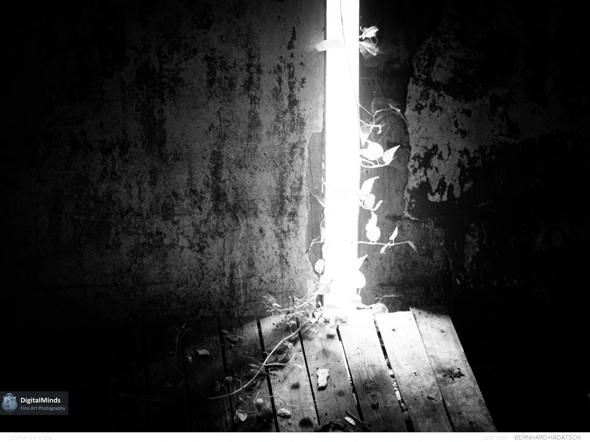 Lostplace July 31126