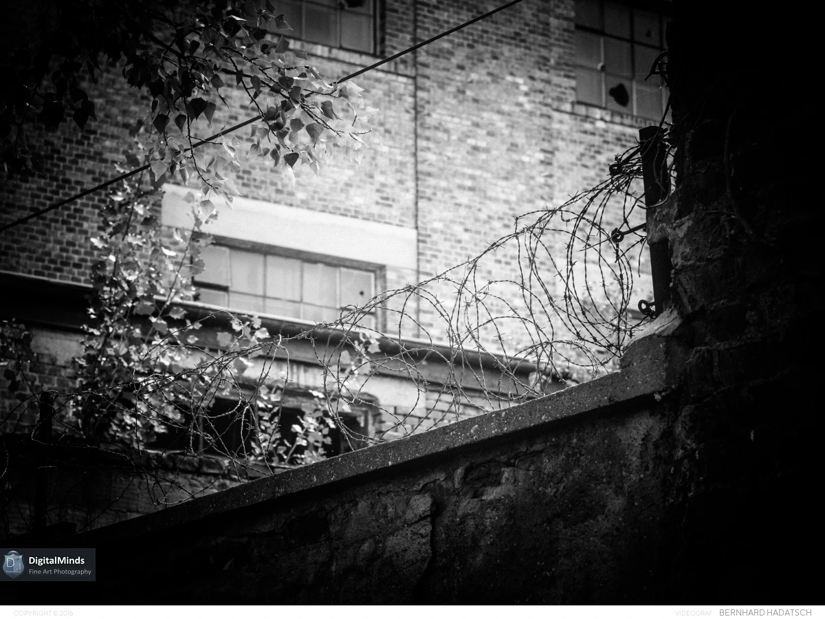 Lostplace July 31184