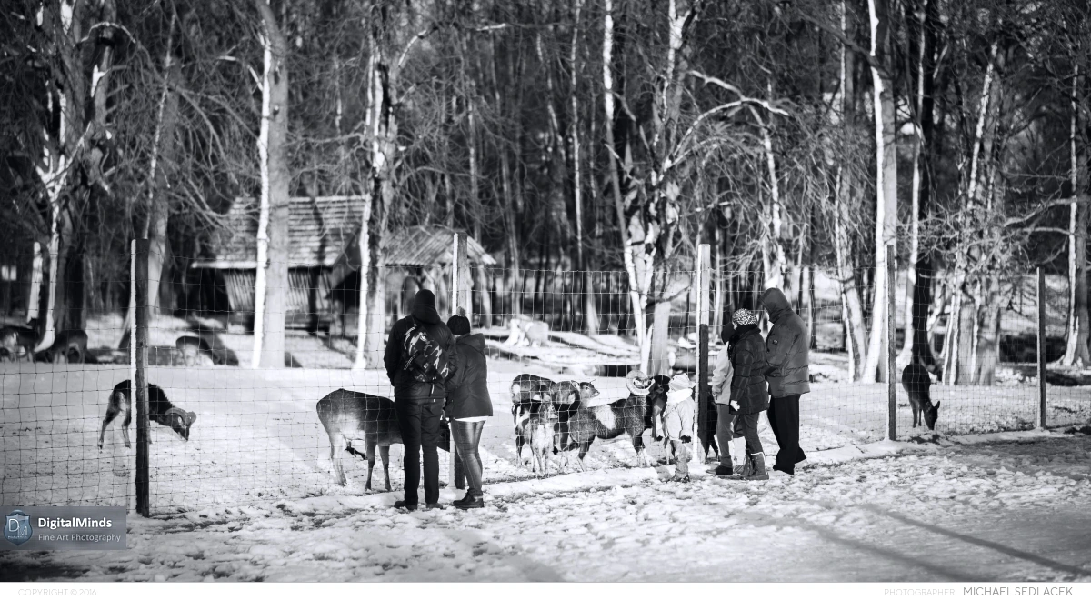 Vienna Winterland January 2015 00100