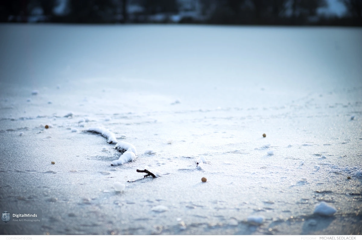 Vienna Winterland January 2015 00101
