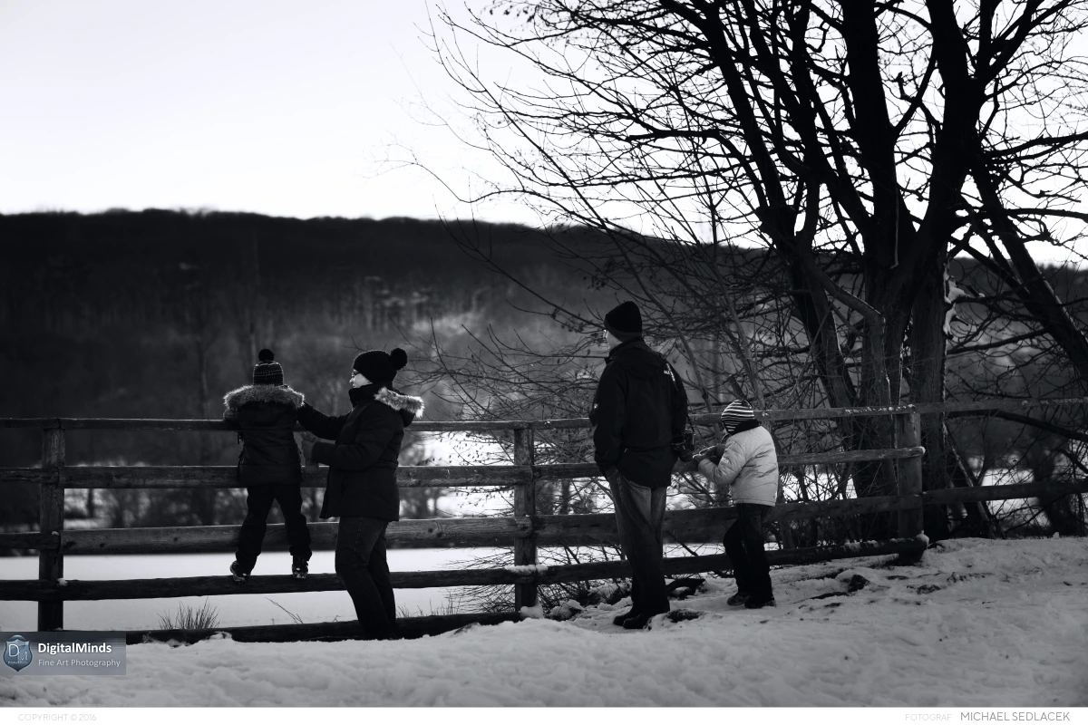 Vienna Winterland January 2015 00158