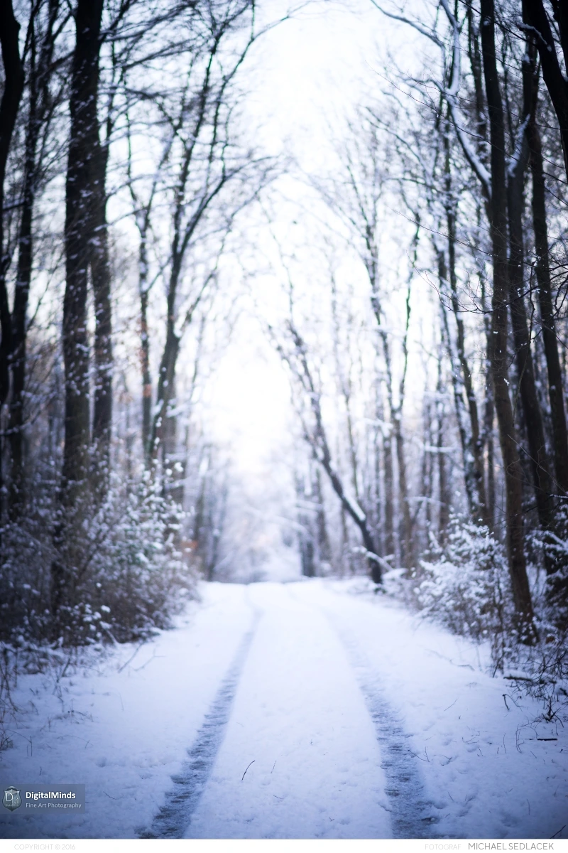 Vienna Winterland January 2015 00171