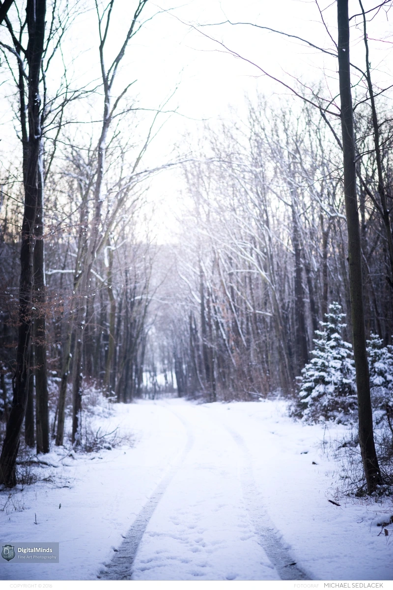 Vienna Winterland January 2015 00181