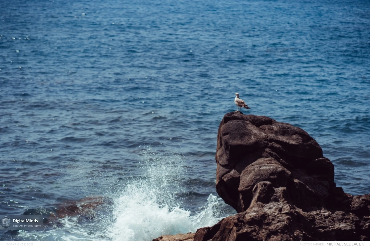 Gran Canaria Day 2 048