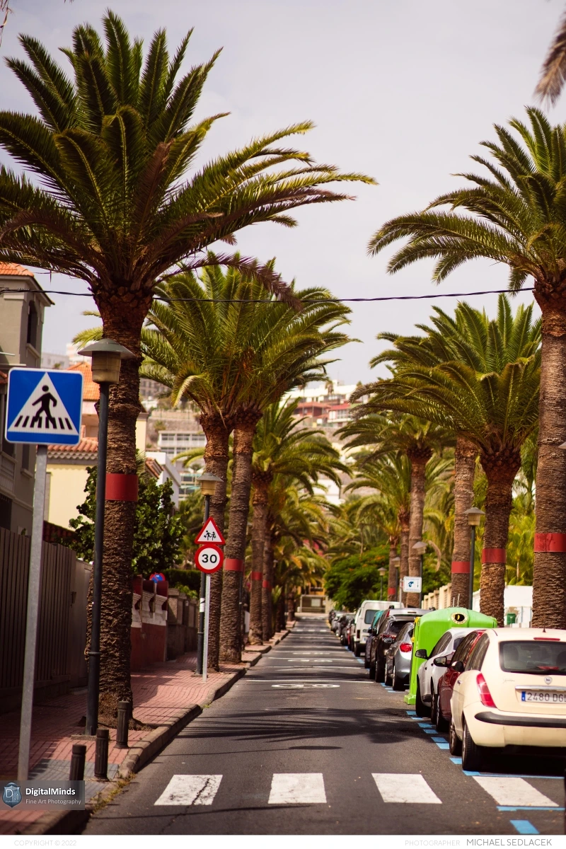 Gran Canaria Day 3 006