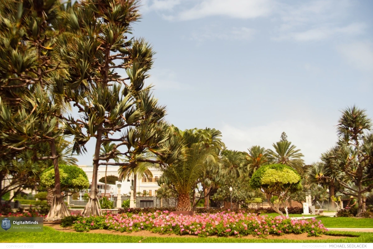 Gran Canaria Day 3 014
