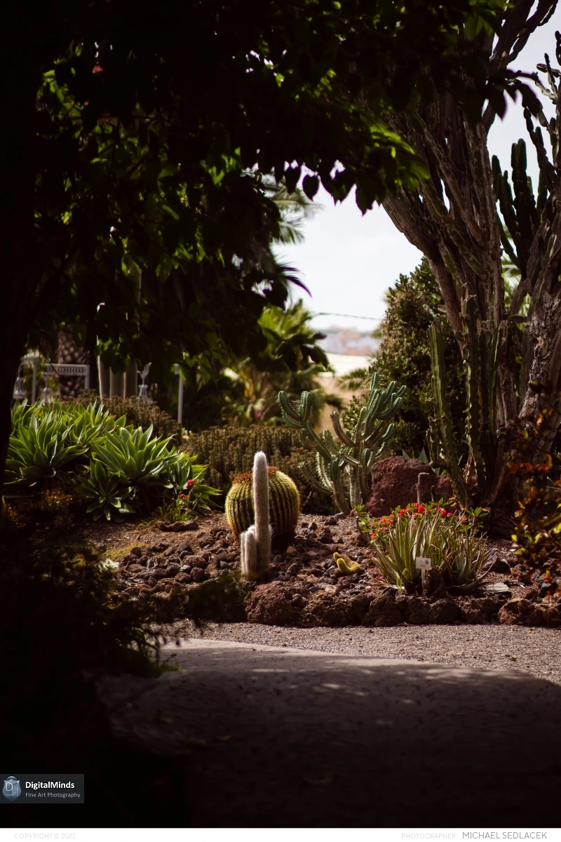 Gran Canaria Day 3 040