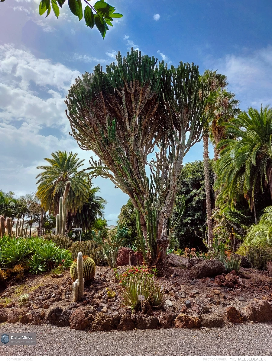Gran Canaria Day 3 042