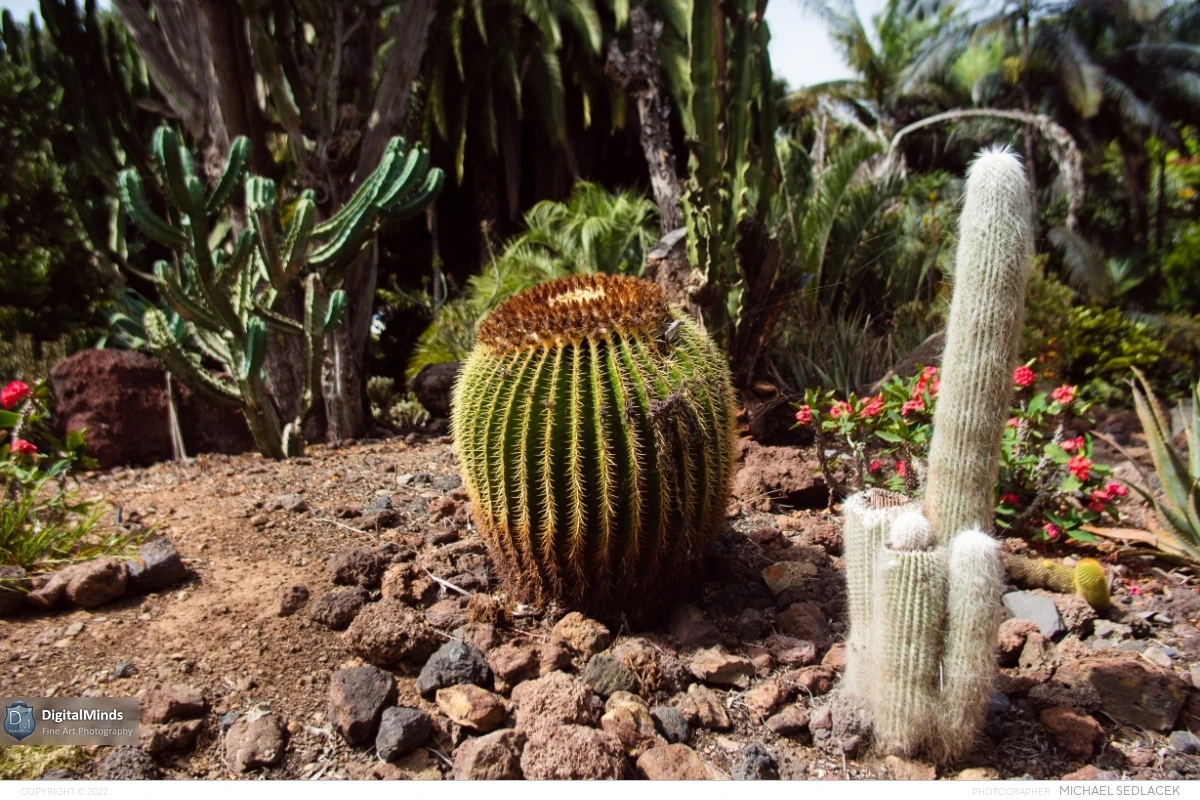 Gran Canaria Day 3 045