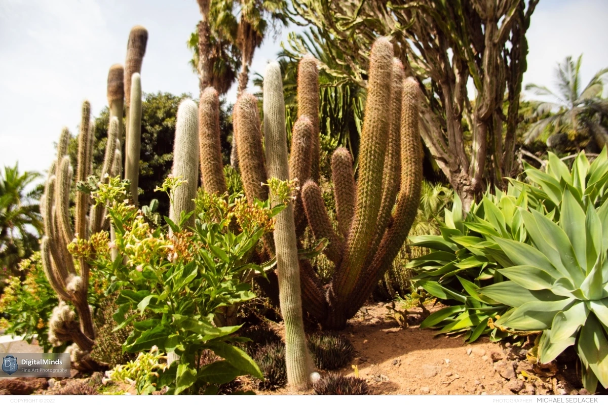 Gran Canaria Day 3 046