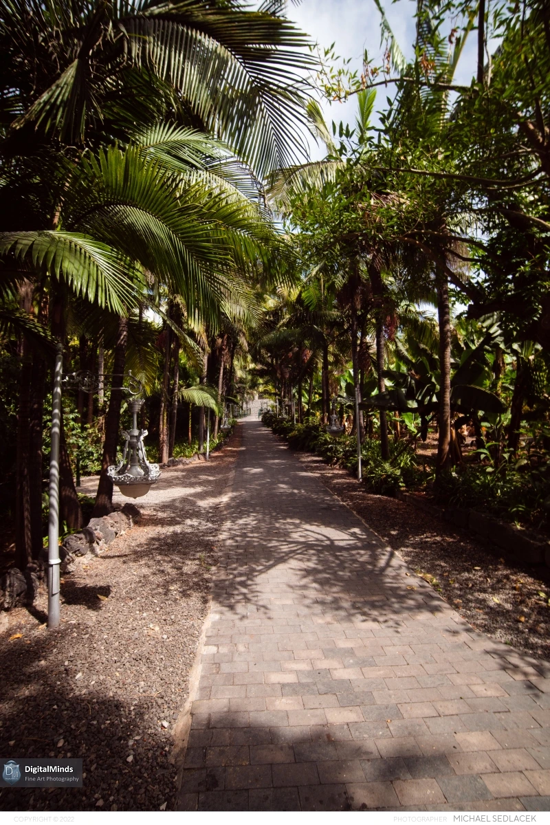 Gran Canaria Day 3 047