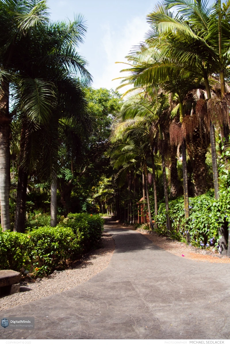 Gran Canaria Day 3 066
